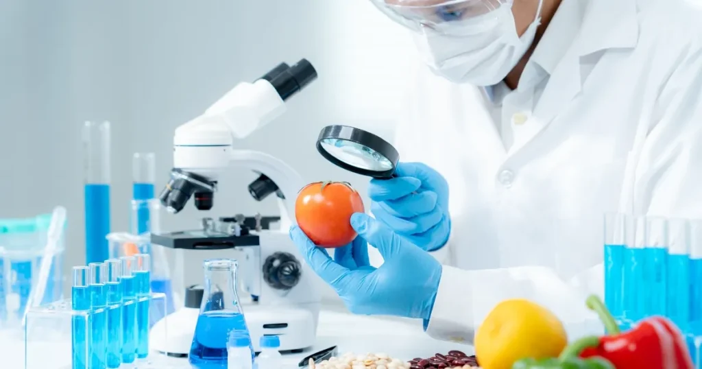 研究室で食品衛生責任者がトマトをルーペで検査している様子 - 食品衛生管理を示すイメージ