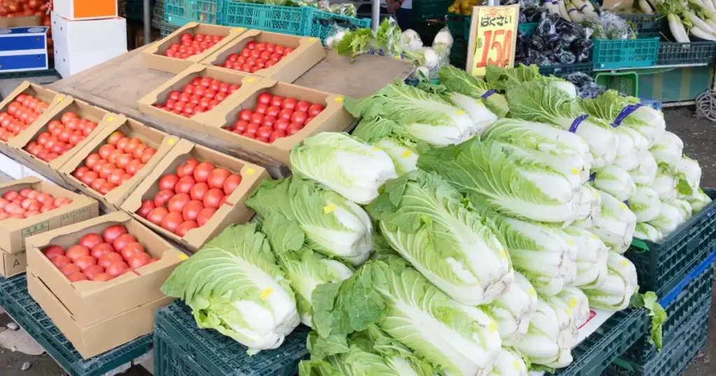青果専門店の店頭に並べられた新鮮なトマトと白菜。青果専門店で働くメリットを象徴する豊富な野菜のディスプレイ。