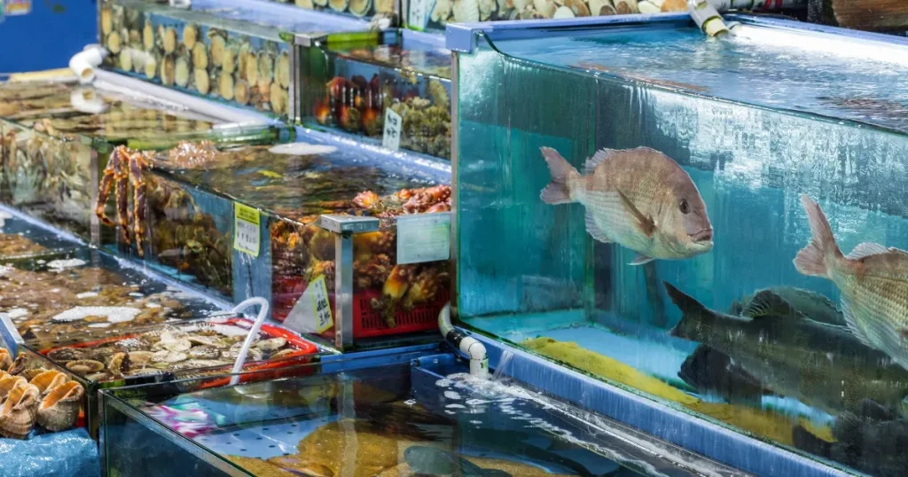 生け簀に入った魚や貝類が並ぶ市場の様子。食品卸売業者の新鮮な食材供給と将来性を象徴するイメージ。